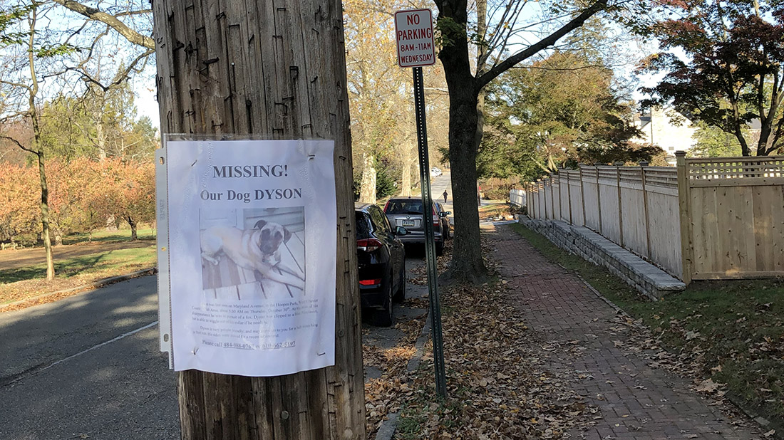 Attention Pet Owners