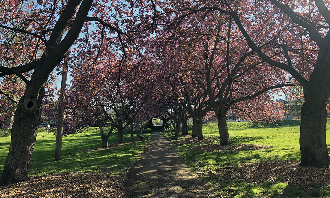 West Chester Weekly News Roundup: April 23, 2021