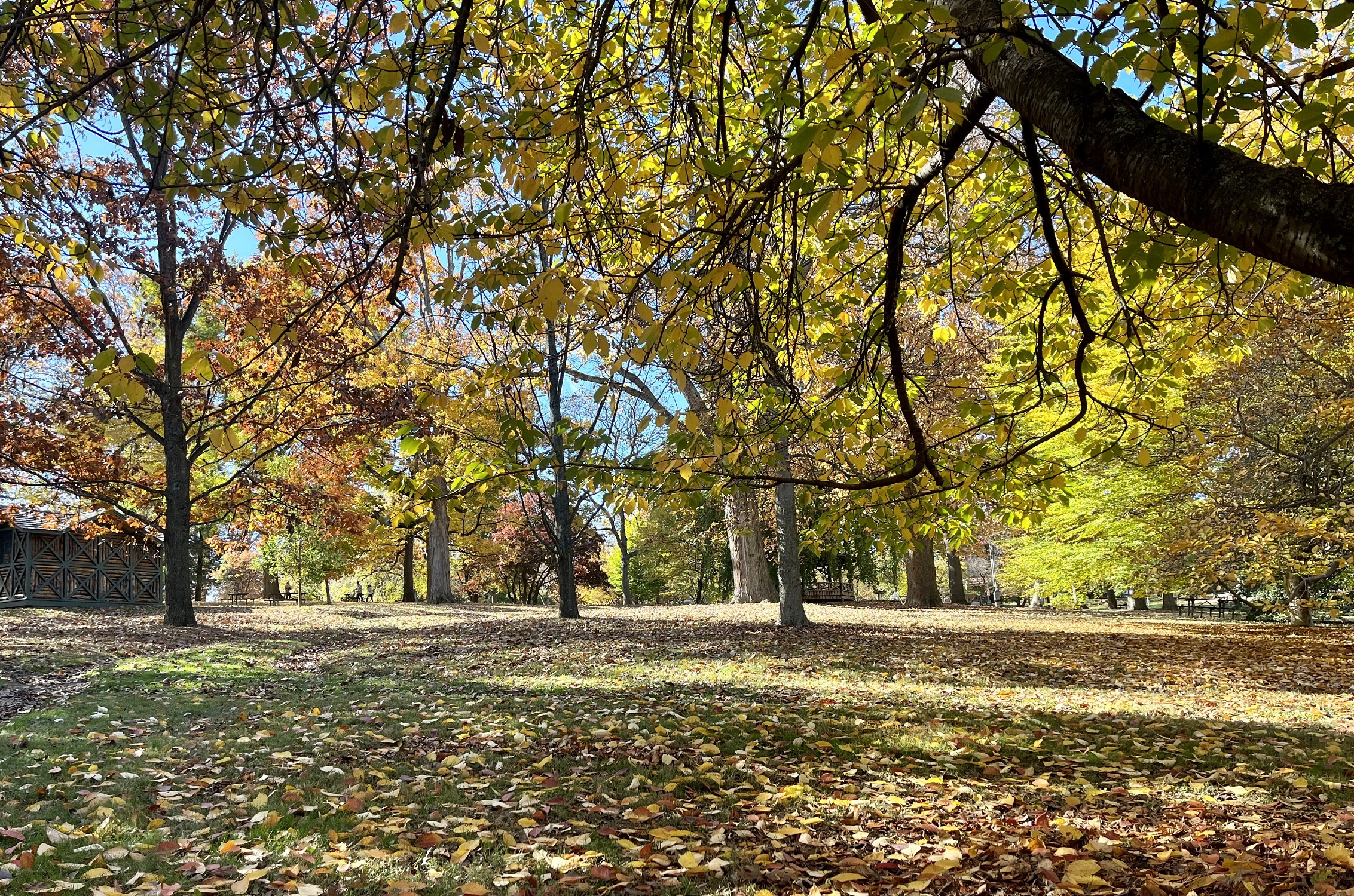 West Chester News Roundup: Oct. 14, 2026