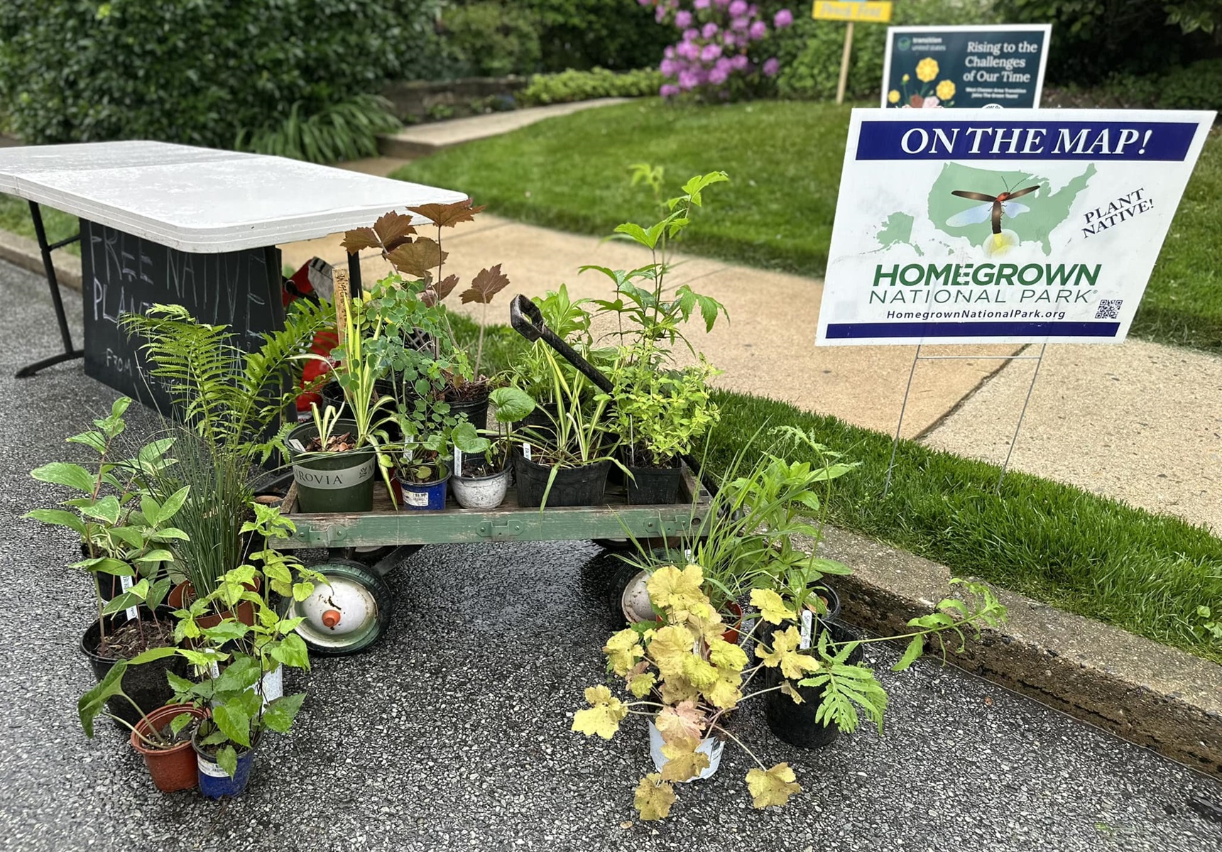 New Green Wagon Project Provides Free Plants for the Taking