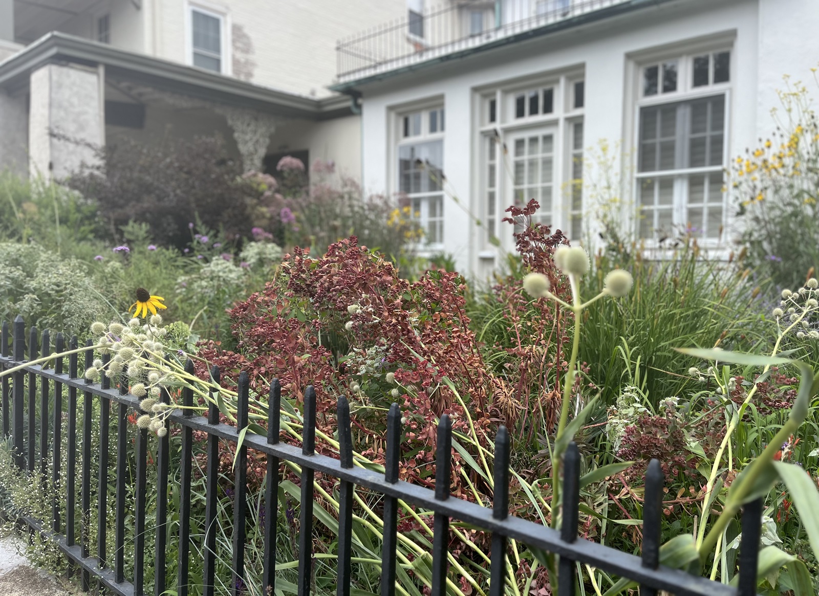 West Chester Weekly News Roundup: Aug. 2, 2024