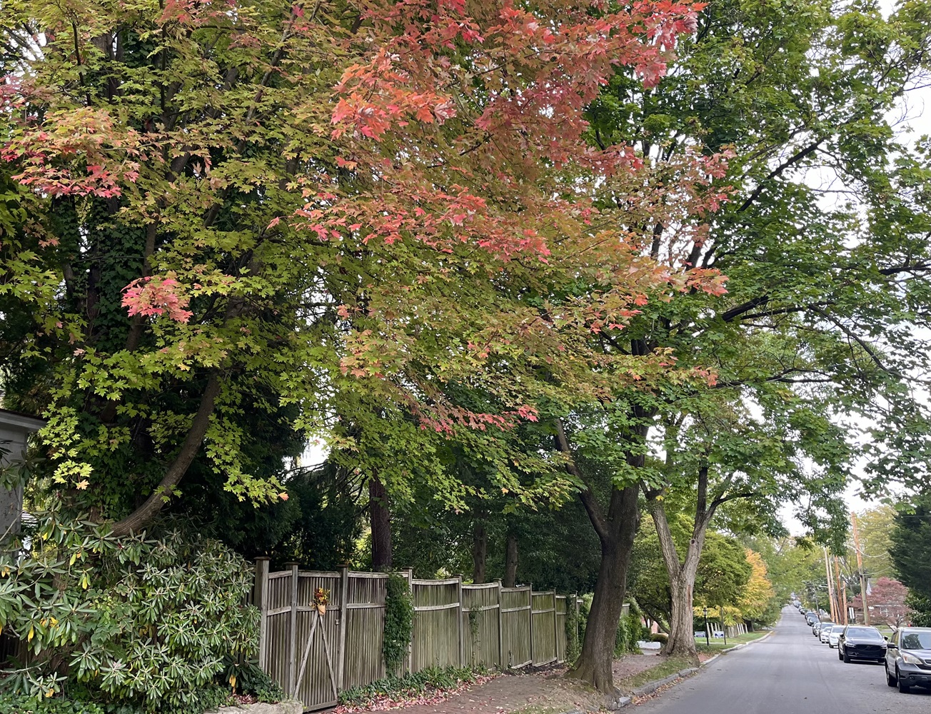 West Chester Weekly News Roundup: Oct. 18, 2024