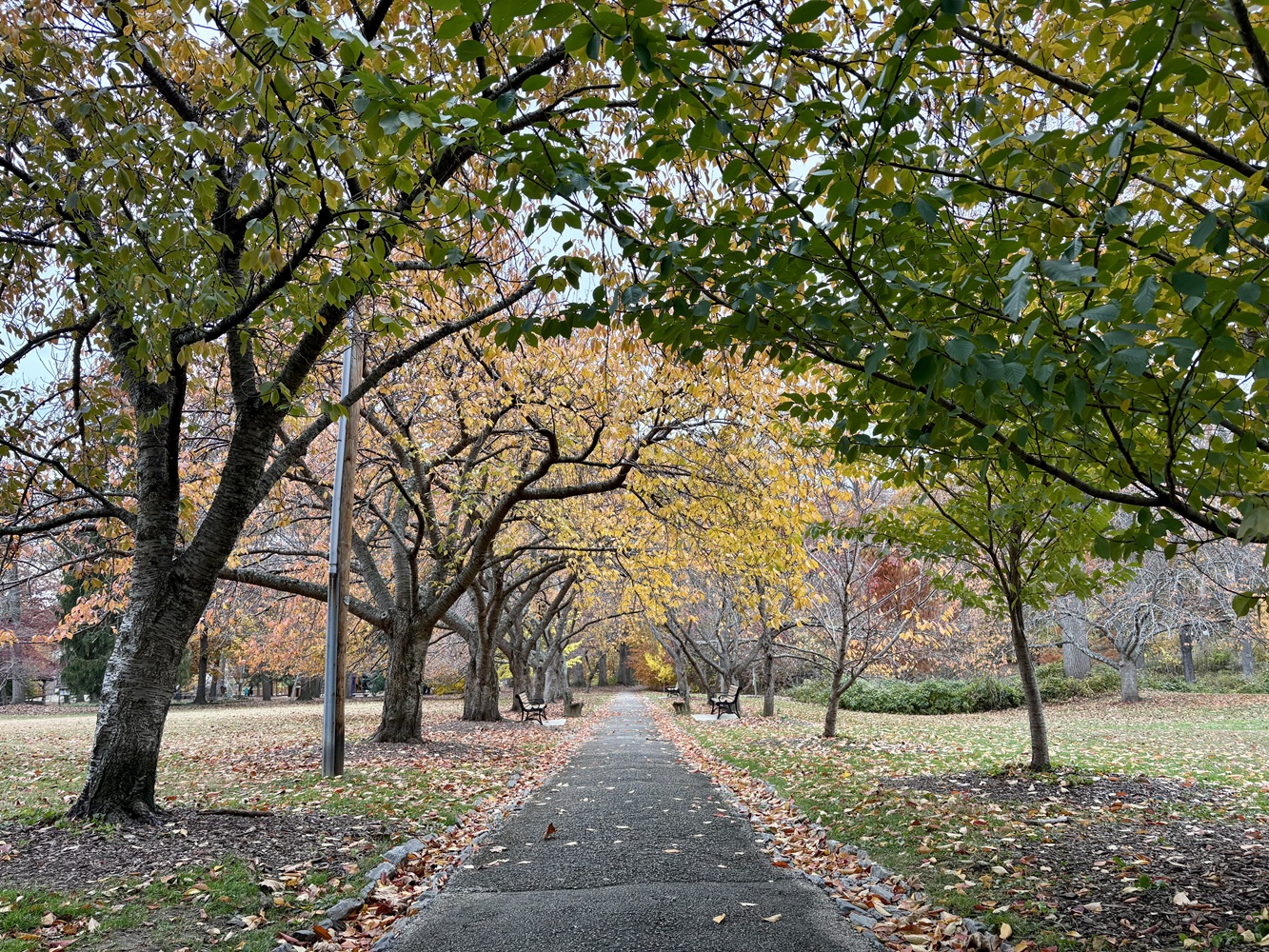 West Chester Weekly News Roundup: Nov. 7, 2025