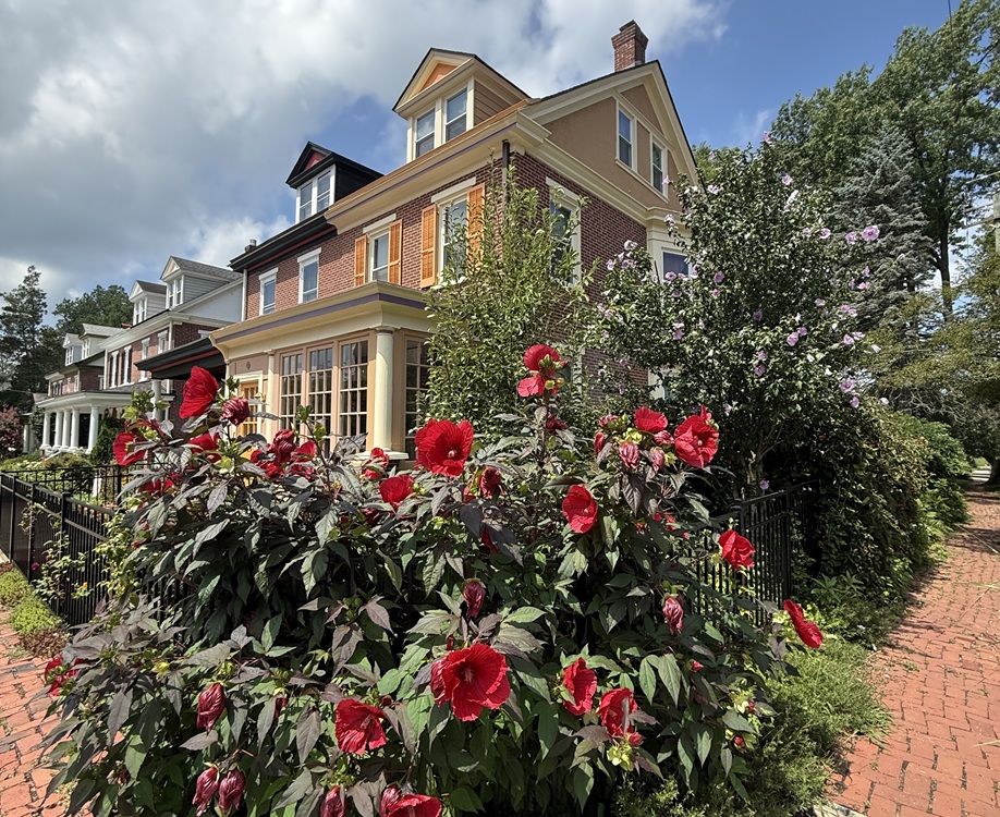 West Chester Weekly News Roundup: Aug. 7, 2026